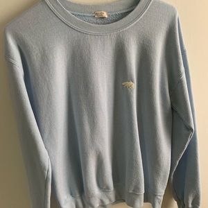 Brandy Melville Blue sweater